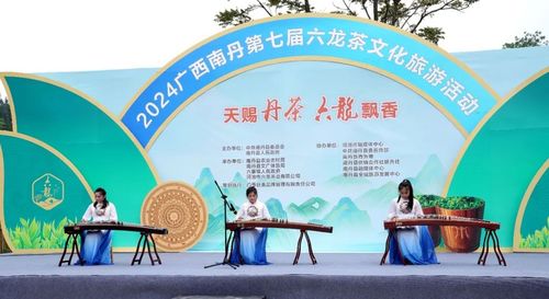 歌声悠扬 茶韵飘香 南丹第七届六龙茶文化旅游活动开幕